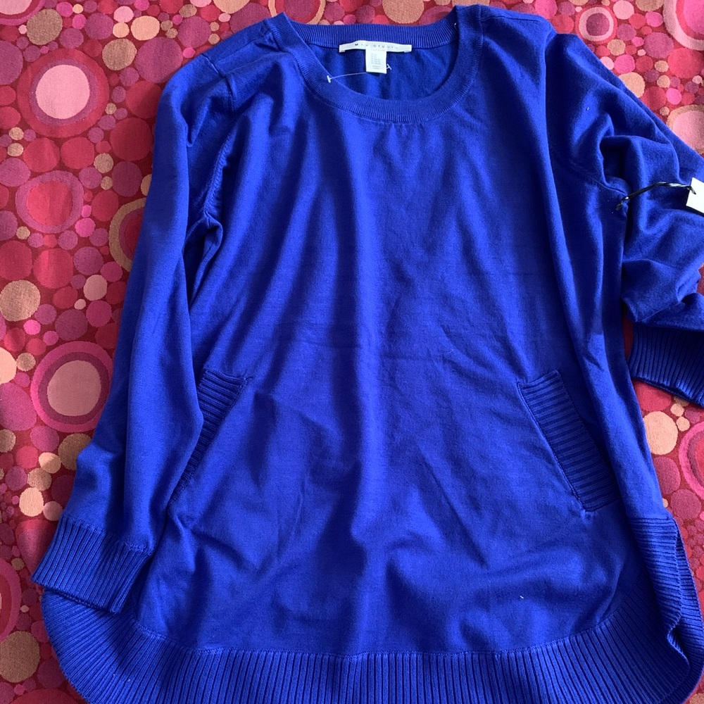 Max studio blue women sweater